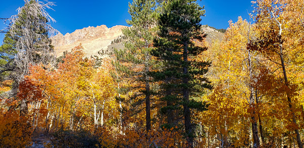 North Lake and autumn color near Bishop